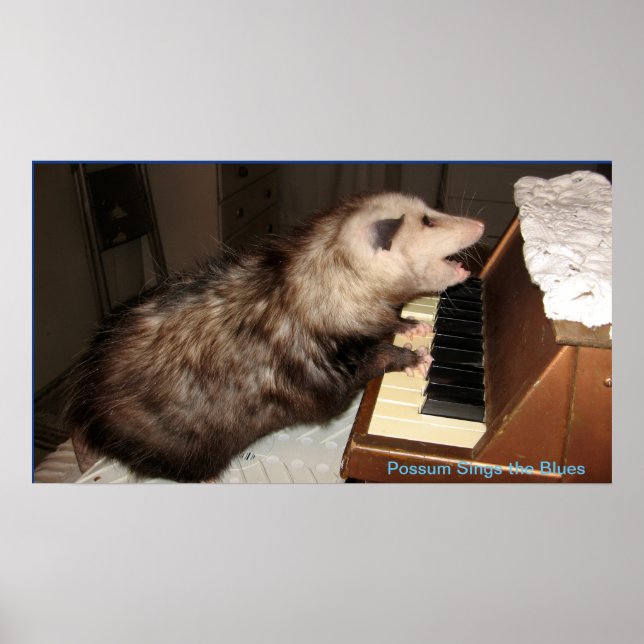 ME Pearl Possum Poster (Front)