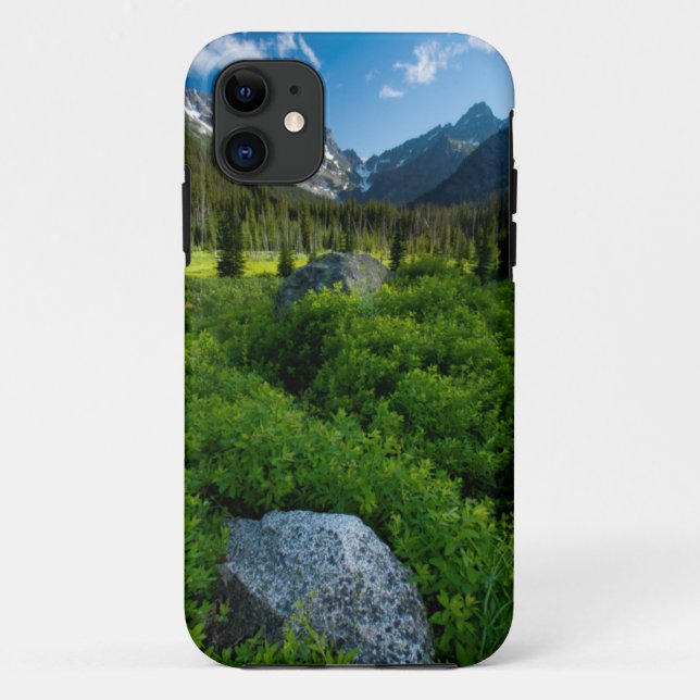 Meadow and Mt. Stuart Case-Mate iPhone Case (Back)