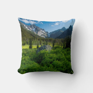 Meadow and Mt. Stuart Throw Pillow