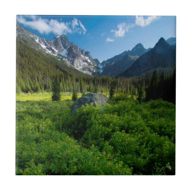 Meadow and Mt. Stuart Tile (Front)