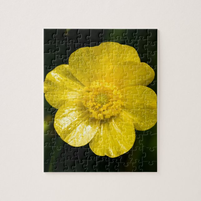 Meadow Buttercup  Jigsaw Puzzle (Vertical)
