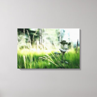 Meadow Canvas Print