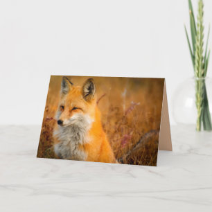 meadow fox greeting card