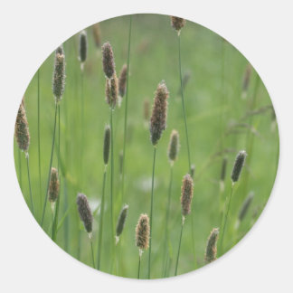 Meadow Foxtails Classic Round Sticker