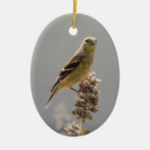 Meadow Goldfinch Ceramic Ornament