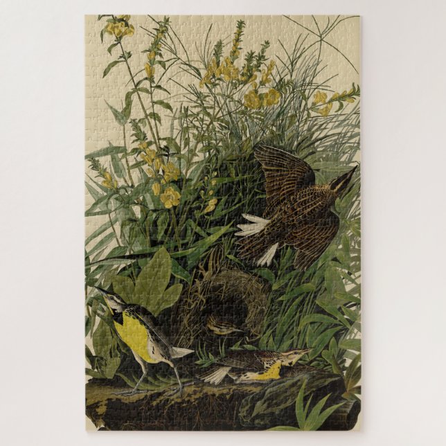 Meadow Lark	from Audubon's Birds of America Jigsaw Puzzle (Vertical)