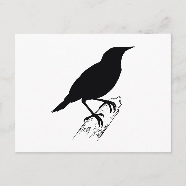 Meadow Lark Postcard (Front)