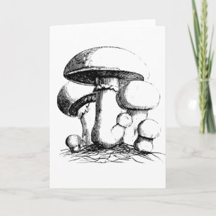 Meadow Mushrooms Greeting Cards