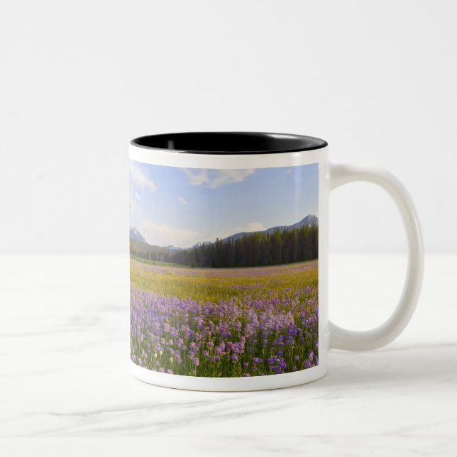 Meadow of penstemon wildflowers in the 2 Two-Tone coffee mug (Right)