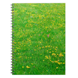 Meadow of wild flowers of the Dolomites Alps on su Notebook