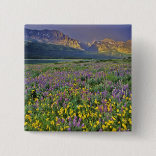 Meadow of wildflowers in the Many glacier 2 Inch Square Button