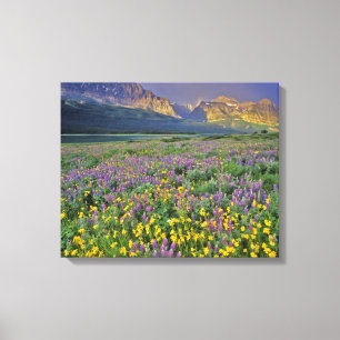 Meadow of wildflowers in the Many glacier Canvas Print