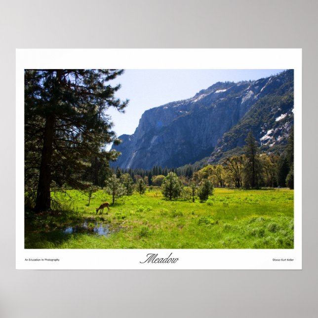 Meadow Prints (Front)