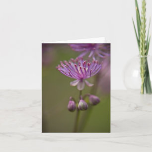 Meadow Rue Note Card