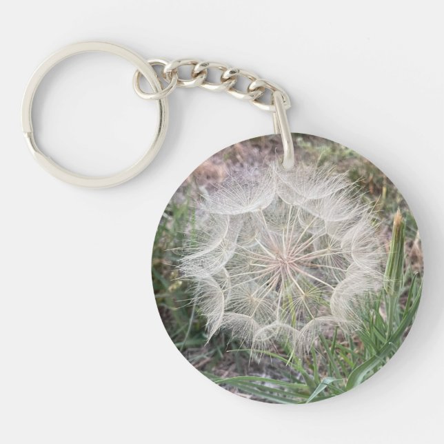 Meadow Salsify Seedpods Acrylic Keychain (Front)