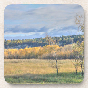 Meadow with Aspens Coaster