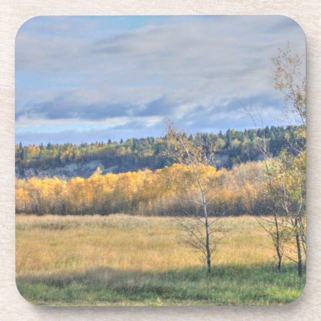 Meadow with Aspens Coaster (Front)