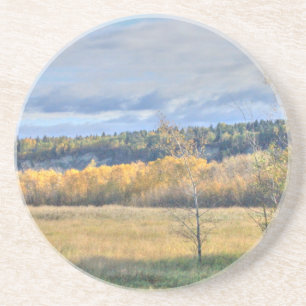 Meadow with Aspens Coaster