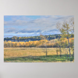 Meadow with Aspens Poster