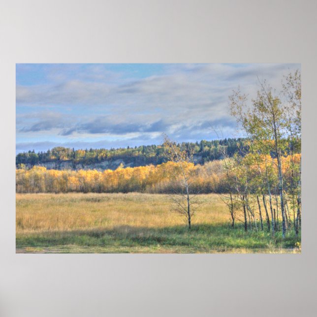 Meadow with Aspens Poster (Front)