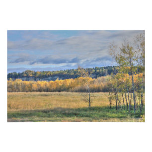 Meadow with Aspens Poster