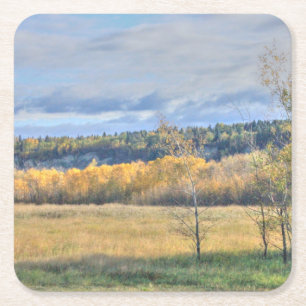Meadow with Aspens Square Paper Coaster