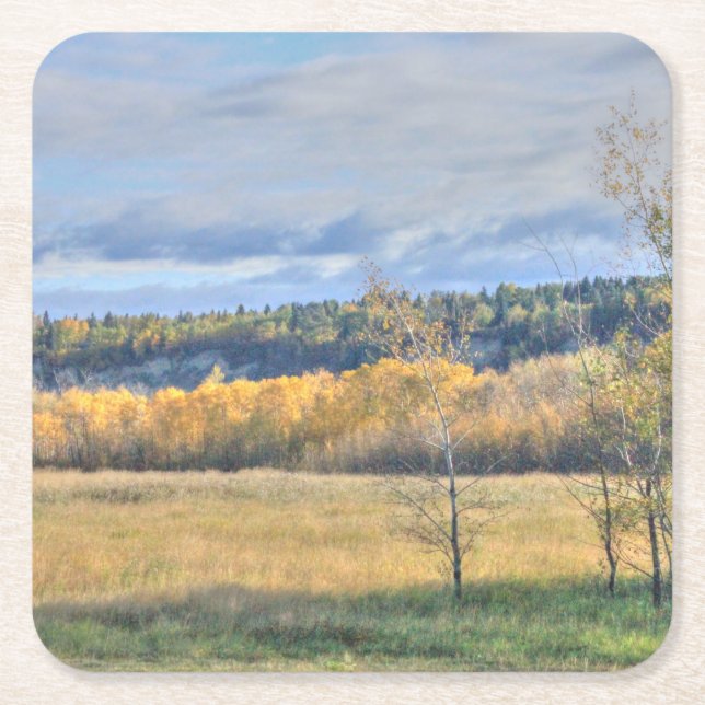 Meadow with Aspens Square Paper Coaster (Front)