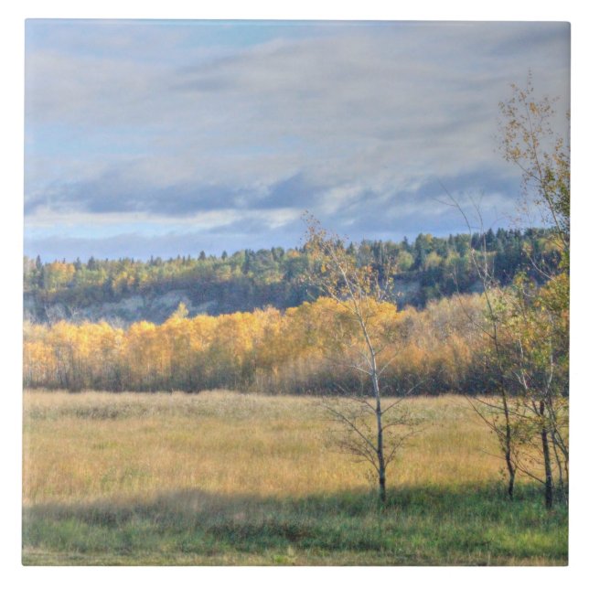 Meadow with Aspens Tile (Front)