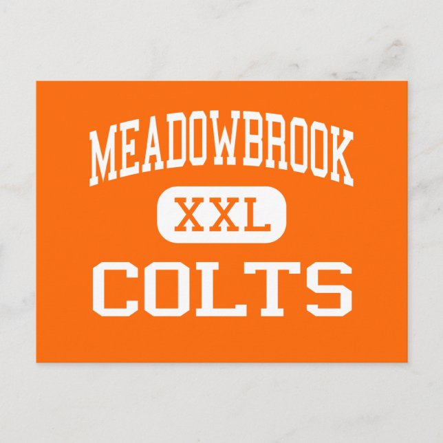 Meadowbrook - Colts - High School - Byesville Ohio Postcard (Front)