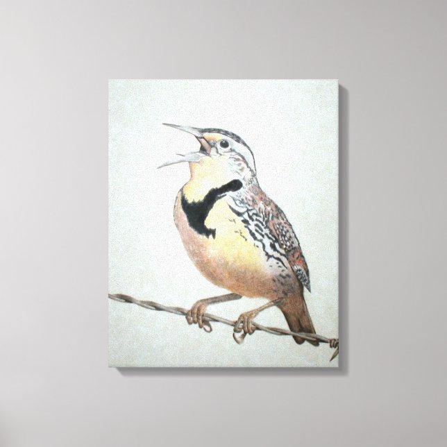 Meadowlark Canvas Print (Front)