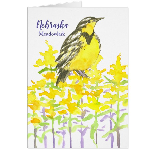 Meadowlark Goldenrod (Devant)