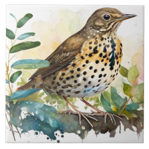 Meadowlark On a Solid White Background On A Branch Tile