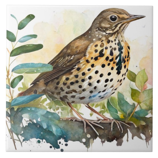 Meadowlark On a Solid White Background On A Branch Tile (Front)