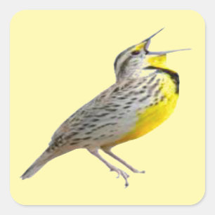 Meadowlark Stickers