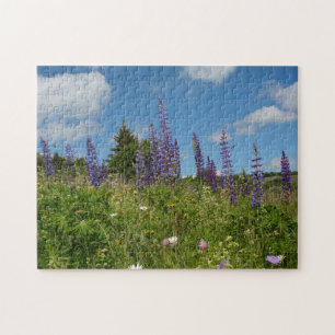 Meadows  with lupins  - jigsaw puzzle