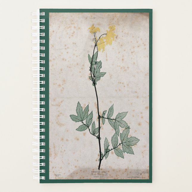Meadowsweet planner (Front)