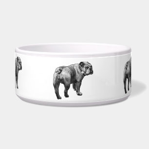 Meal Bulldog, Solid Company