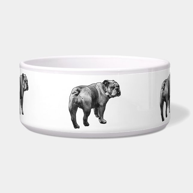 Meal Bulldog, Solid Company (Front)