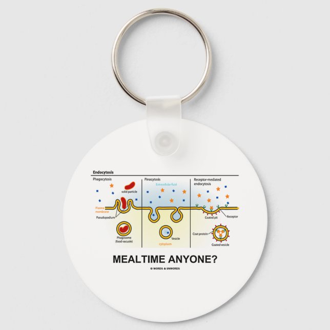 Mealtime Anyone? (Endocytosis Digestion Humour) Keychain (Front)