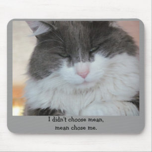 Mean Chose Me Mouse Pad