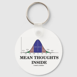 Mean Thoughts Inside (Statistics Humour) Keychain