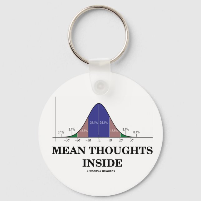 Mean Thoughts Inside (Statistics Humour) Keychain (Front)