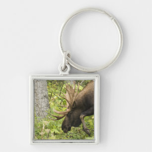 Meandering Moose Keychain