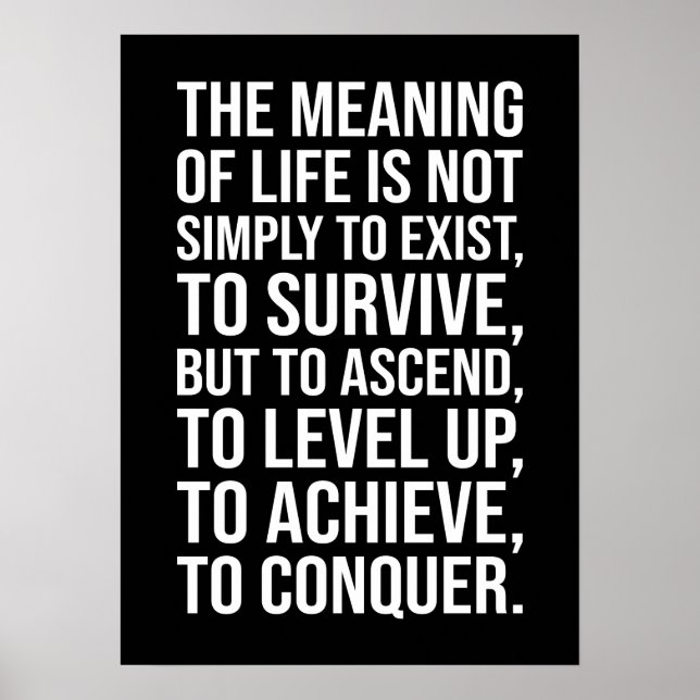 Meaning Of Life Is To Conquer Poster (Front)