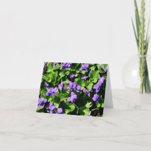 Meaning of Violets note cards