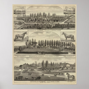 Means, Trout and Sabins in Kansas Poster