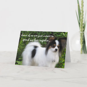 Meant to Be Happy Birthday papillon card