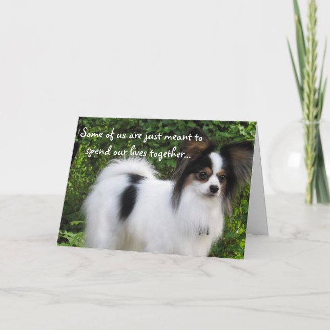 Meant to Be Happy Birthday papillon card (Front)