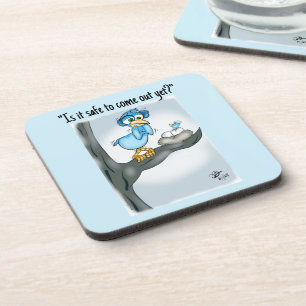 Meanwhile in Minnesota Coaster