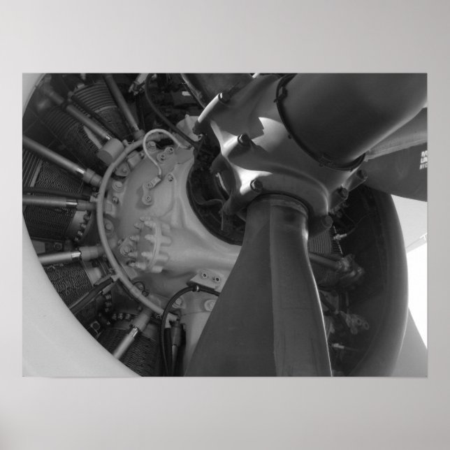 Mechanical Beauty Poster (Front)